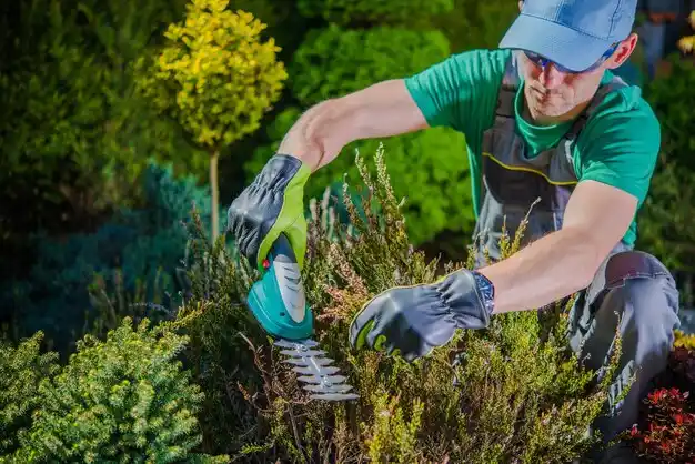 landscaping services Gang Mills